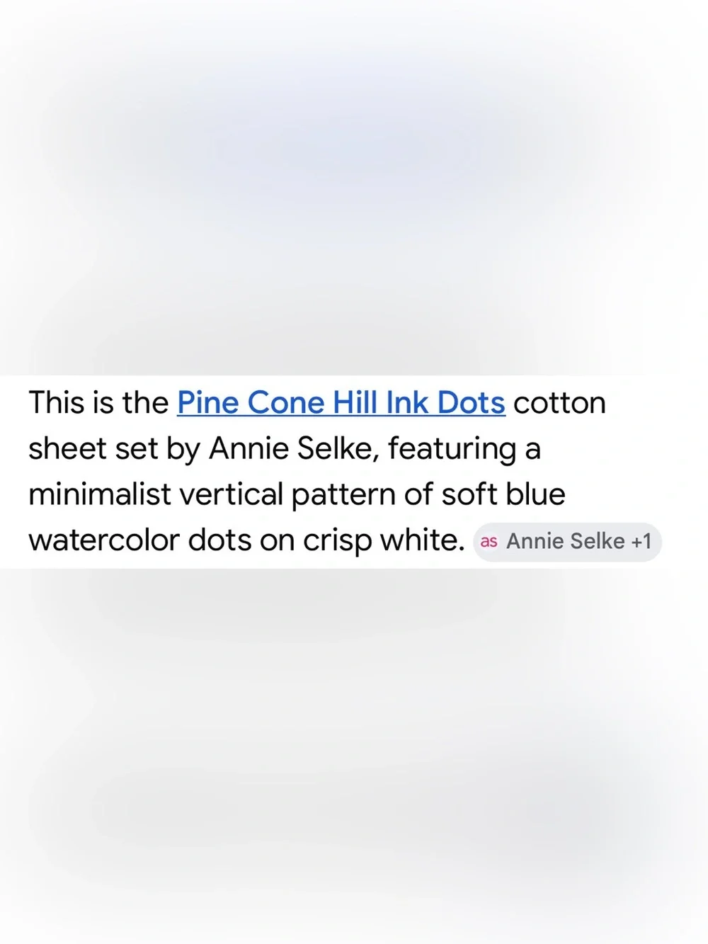 Pine Cone Hill ink Dots Twin Duvet Cover & 2 Euro Shams 100% Cotton